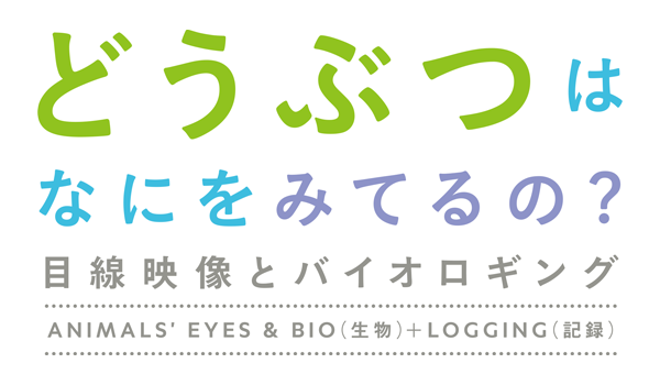 「どうぶつは、なにをみてるの？～目線映像とバイオロギング～」