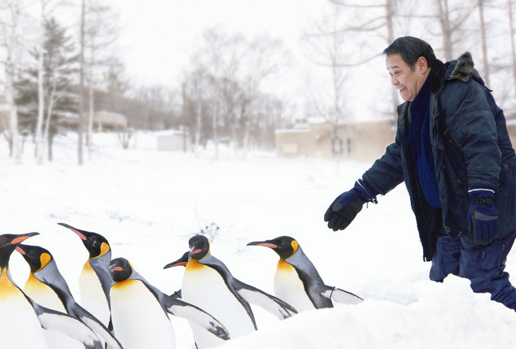 『旭山動物園物語　ペンギンが空をとぶ』
