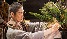 「花戦さ」