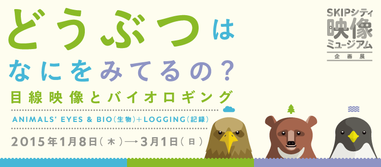 どうぶつはなにをみてるの？目線映像とバイオロギング 2015年1月8日（木）～3月1日（日）